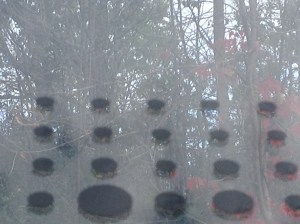 beaulieu appoll truncated