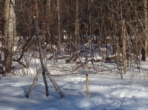 distant TTA Baxter 2 2015