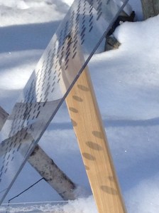 TTA side Baxter 2 2015