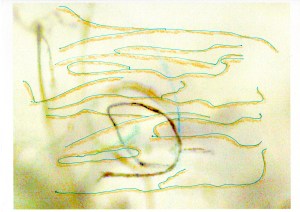 Jaap Blonk - "Wind for Tony"