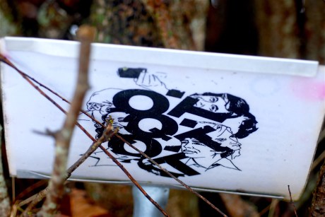 black-walnut-grove-derek-beaulieu-2-feb-2017